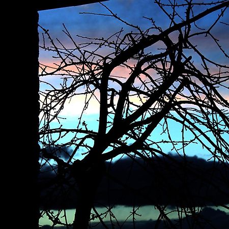 Podere Di Belforte Bagno A Ripoli Luaran gambar