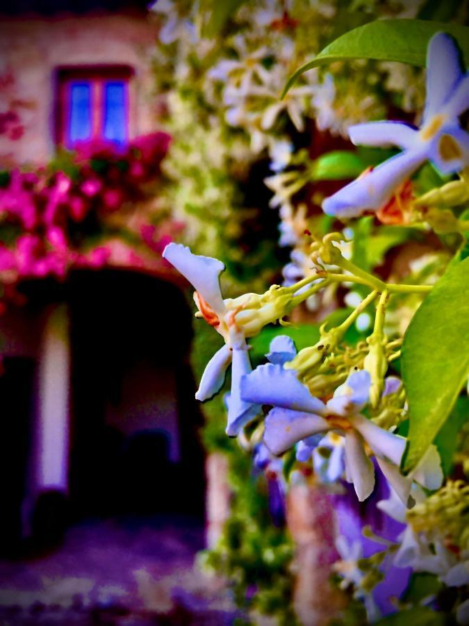 Podere Di Belforte Bagno A Ripoli Luaran gambar