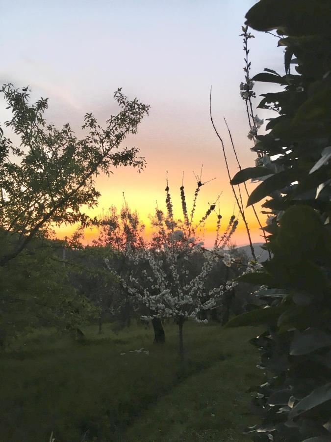 Podere Di Belforte Bagno A Ripoli Luaran gambar