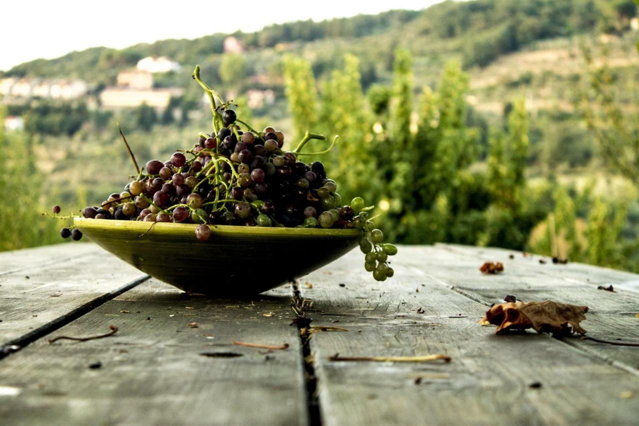 Podere Di Belforte Bagno A Ripoli Luaran gambar